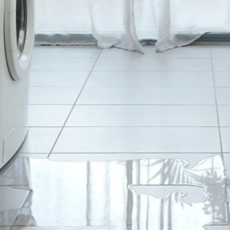 Appliance Leak Cleanup in Levant, ME