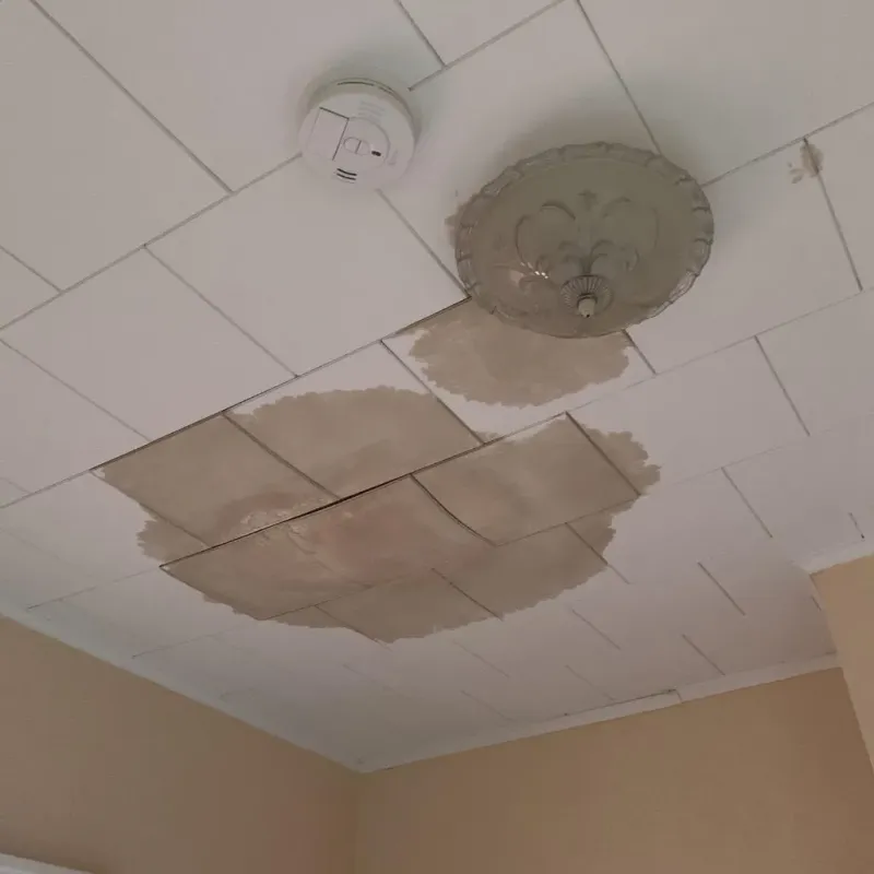 Ceiling Water Damage Repair in Levant, ME