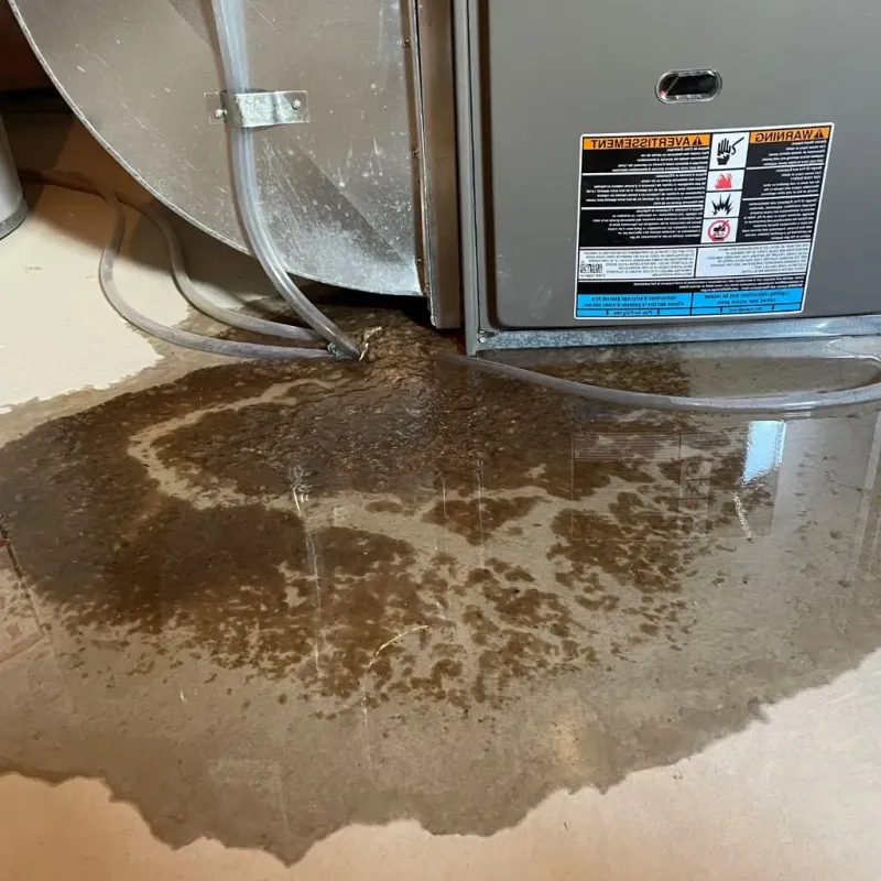 Pipe Burst and Leak Restoration in Levant, ME