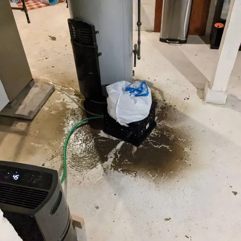 Sewage Backup Cleanup Service in Levant, ME